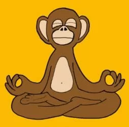 monkey